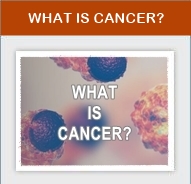 What is Cancer?